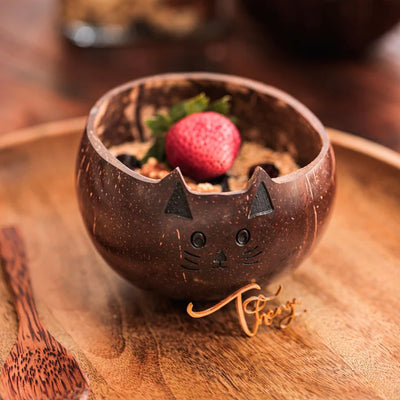 CAT BOWL FOR KIDS
